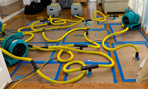 Professional Water Extraction technician working in Richwood, LA